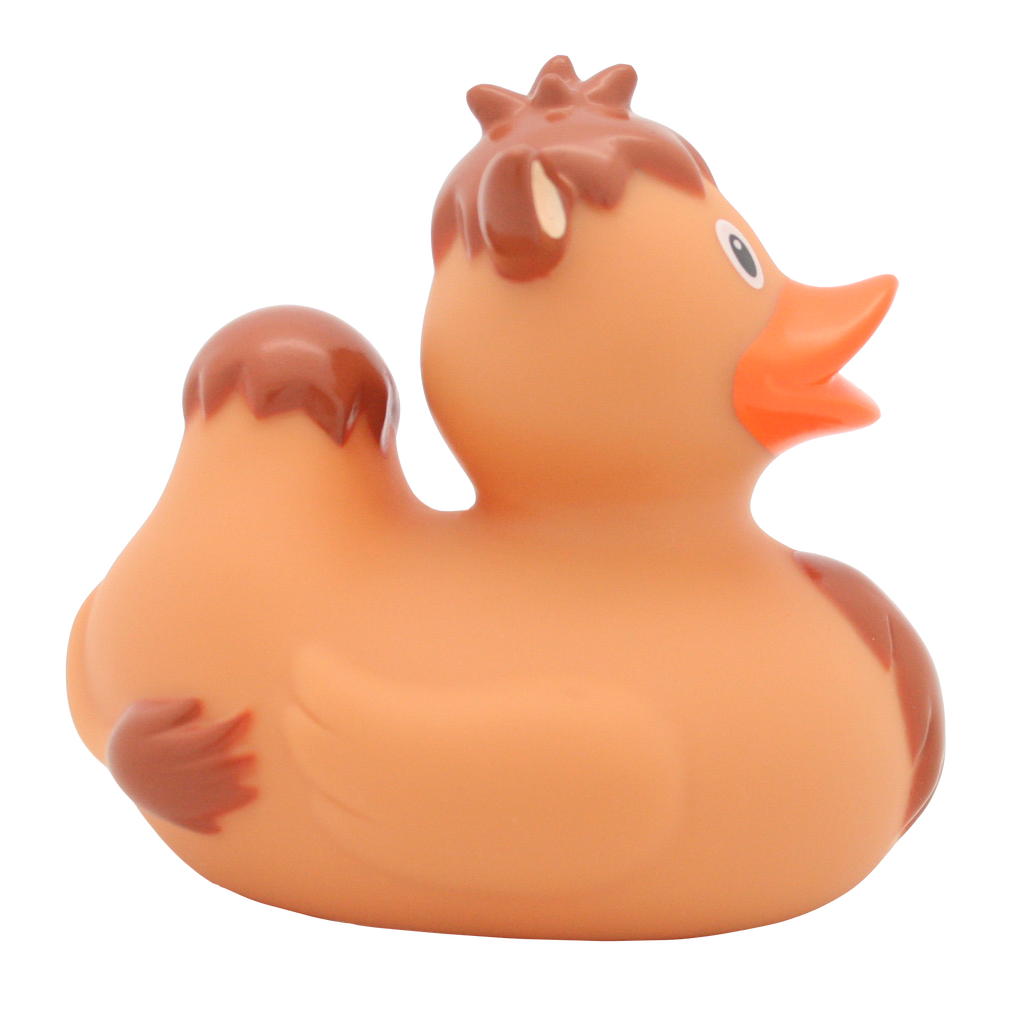 Canard Chameau