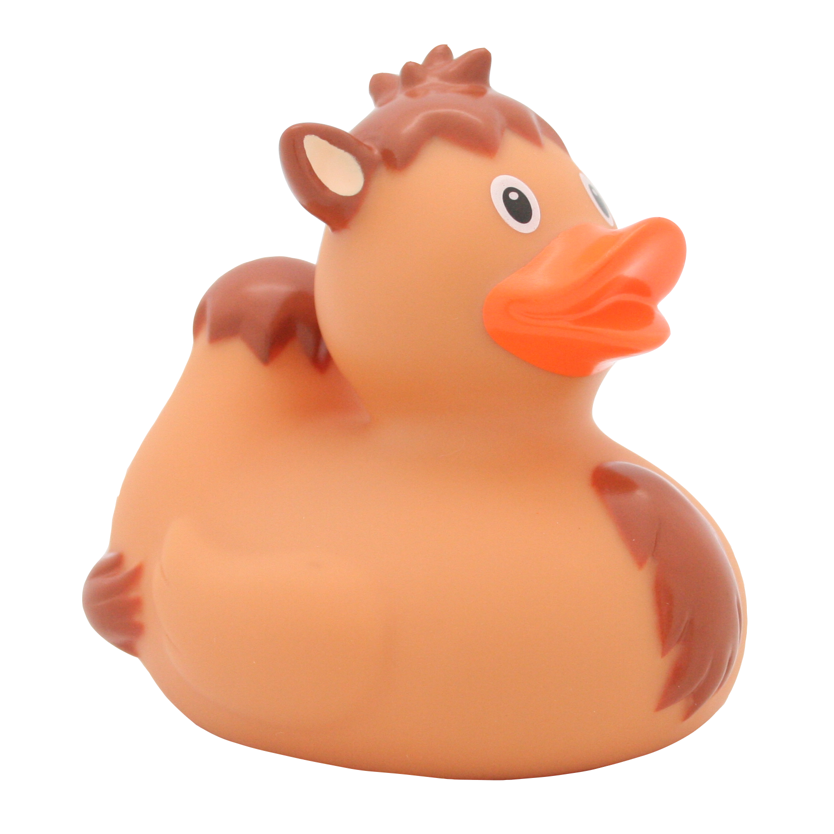 Canard Chameau