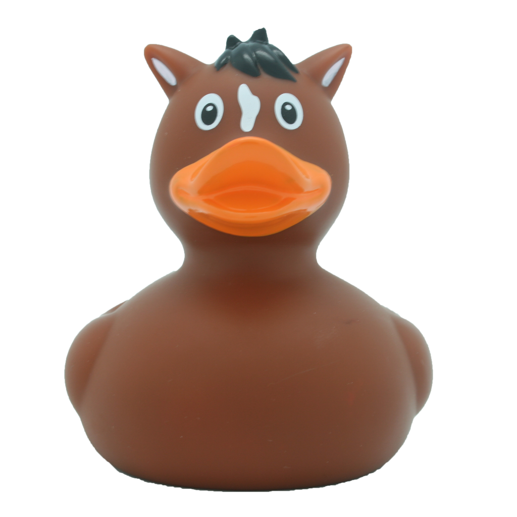 Kachní kůň