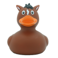 Kachní kůň