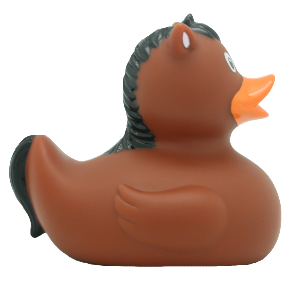 Kachní kůň