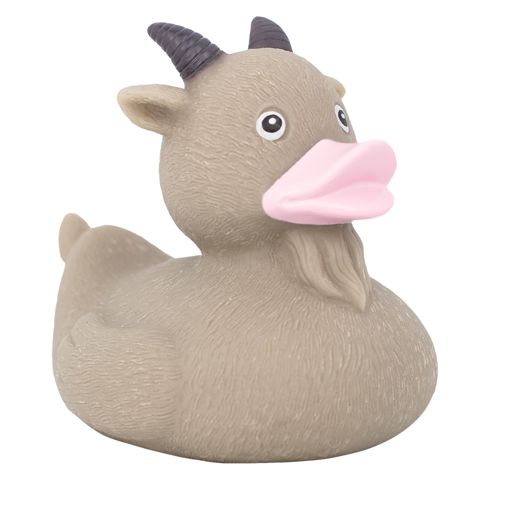 Canard Chèvre – visuel produit