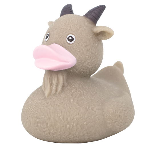 Duck Goat