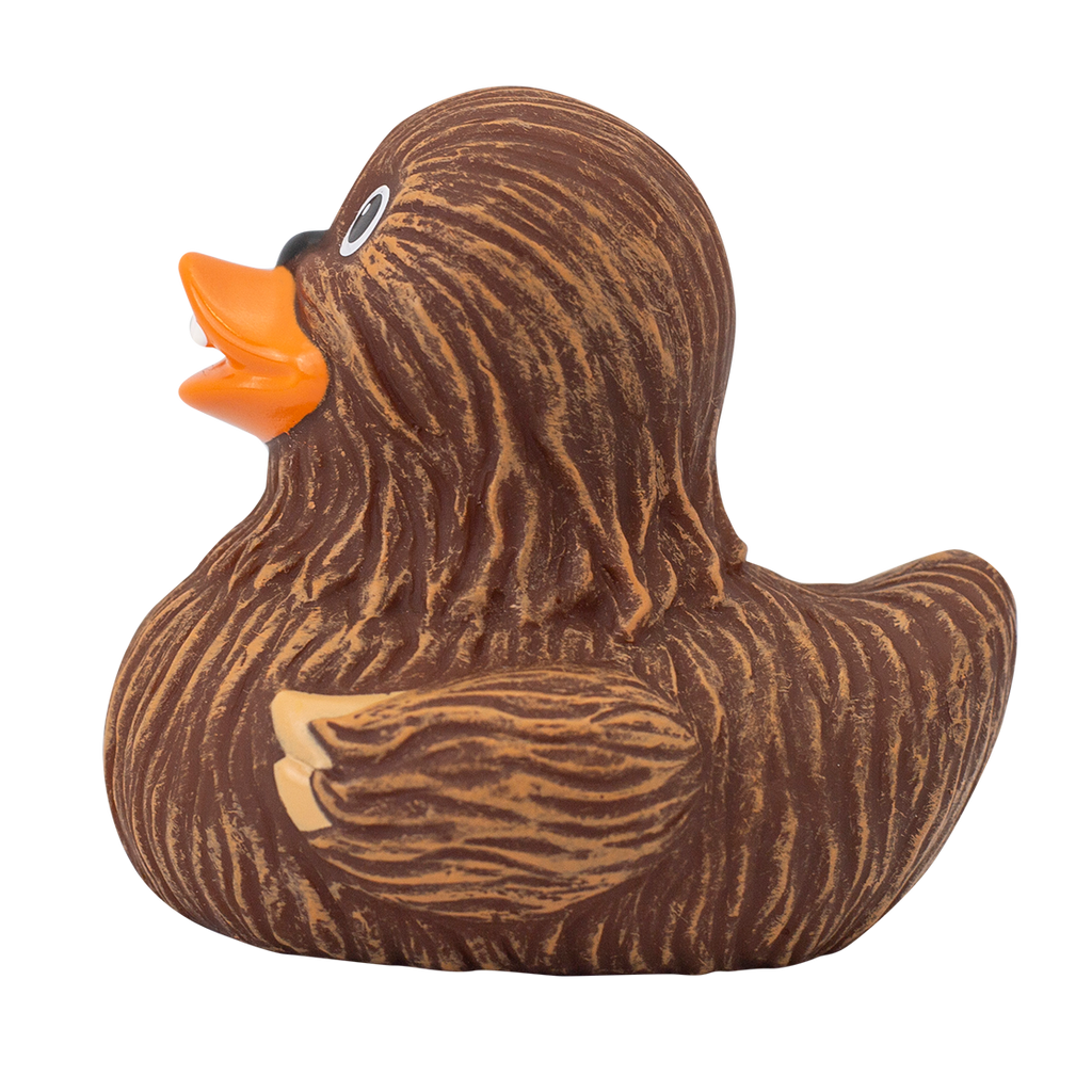 Duck Chewie