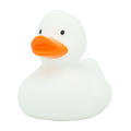 Canard Classique Blanc