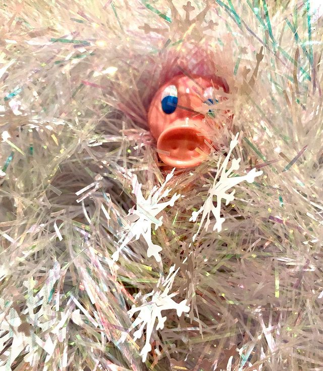 Kaczka Świnia Posankka