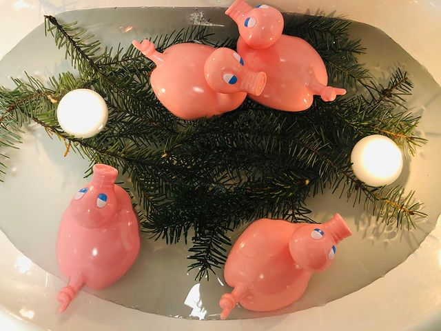 Kaczka Świnia Posankka