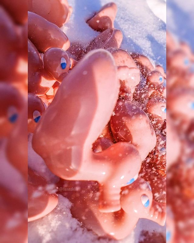 Kaczka Świnia Posankka