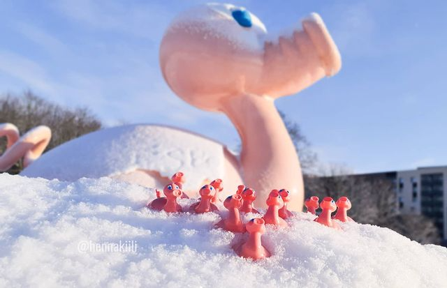 Kaczka Świnia Posankka