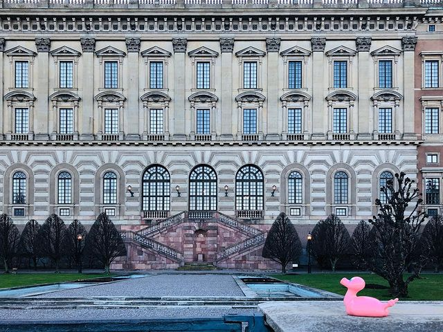 Kaczka Świnia Posankka