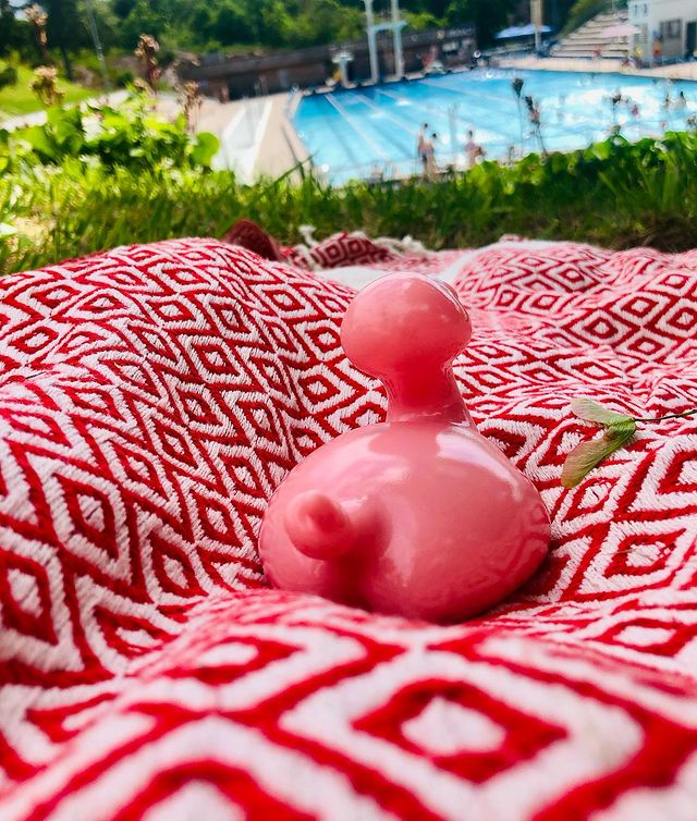 Kaczka Świnia Posankka