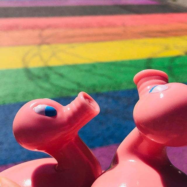 Kaczka Świnia Posankka