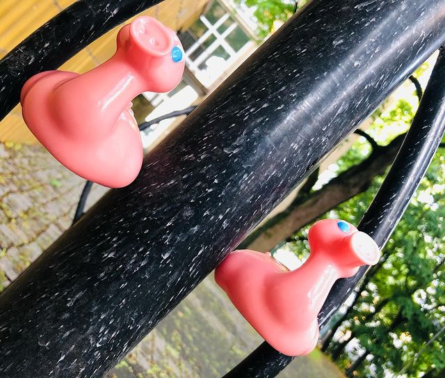 Kaczka Świnia Posankka