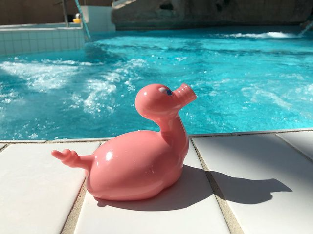 Kaczka Świnia Posankka