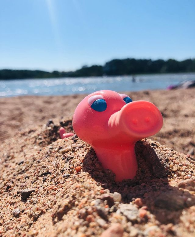 Kaczka Świnia Posankka