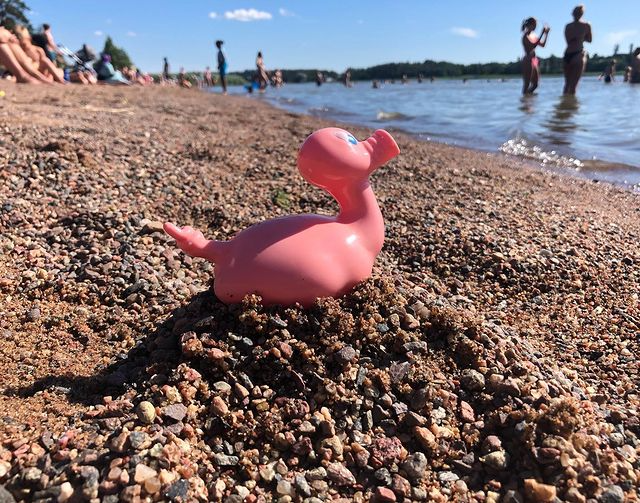 Kaczka Świnia Posankka