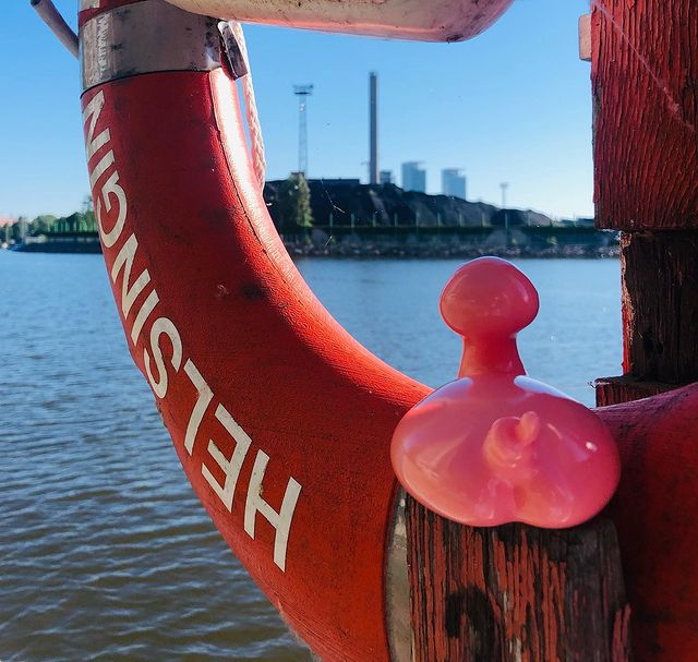 Kaczka Świnia Posankka