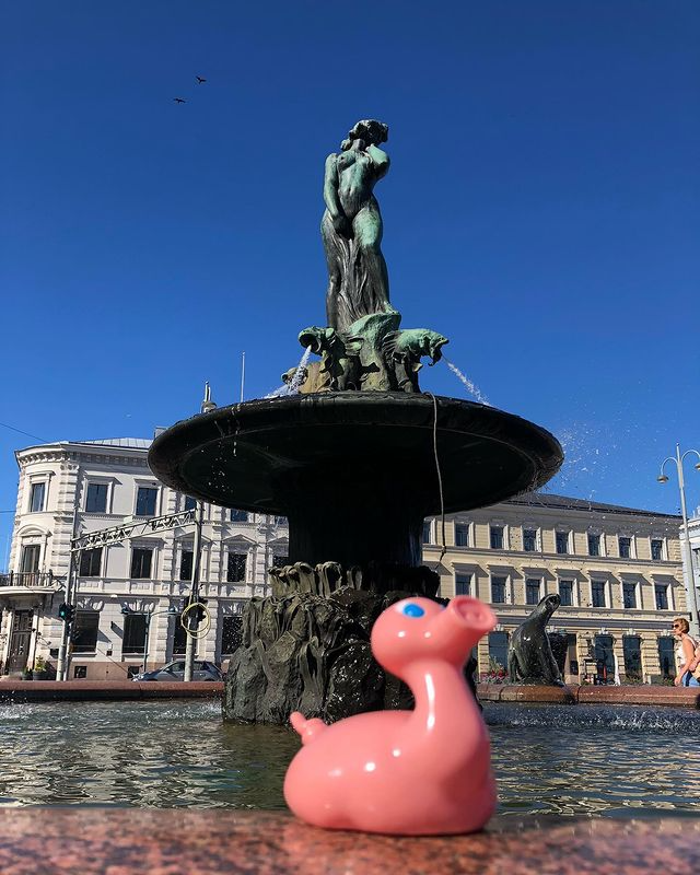 Kaczka Świnia Posankka