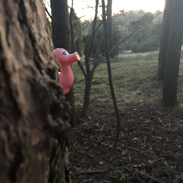 Kaczka Świnia Posankka