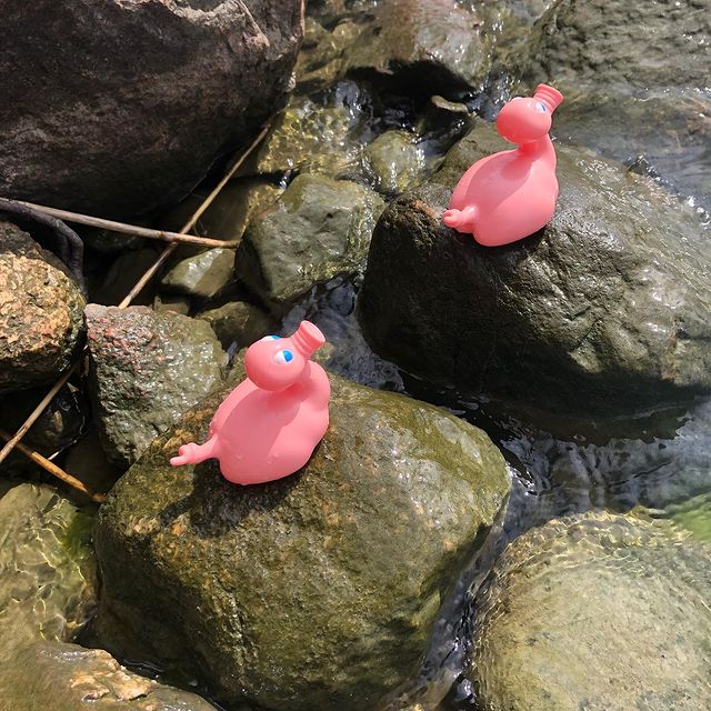 Kaczka Świnia Posankka