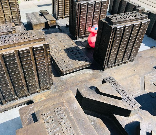 Kaczka Świnia Posankka