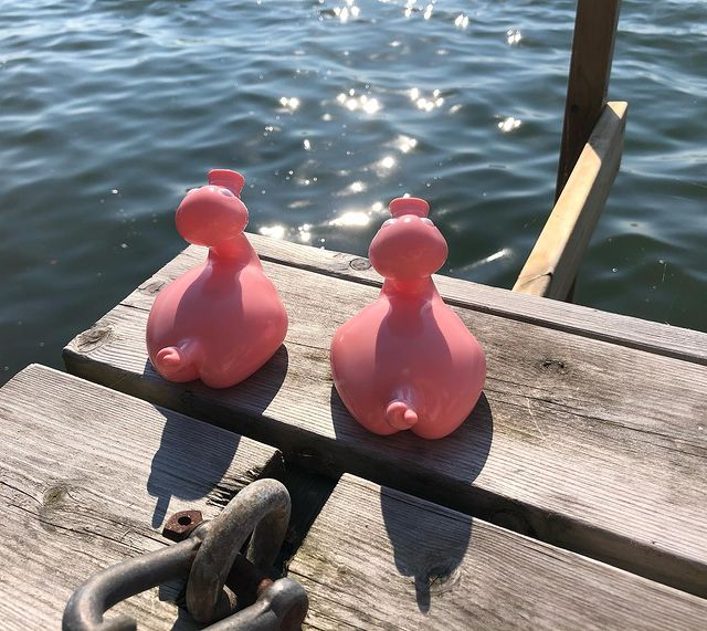 Kaczka Świnia Posankka