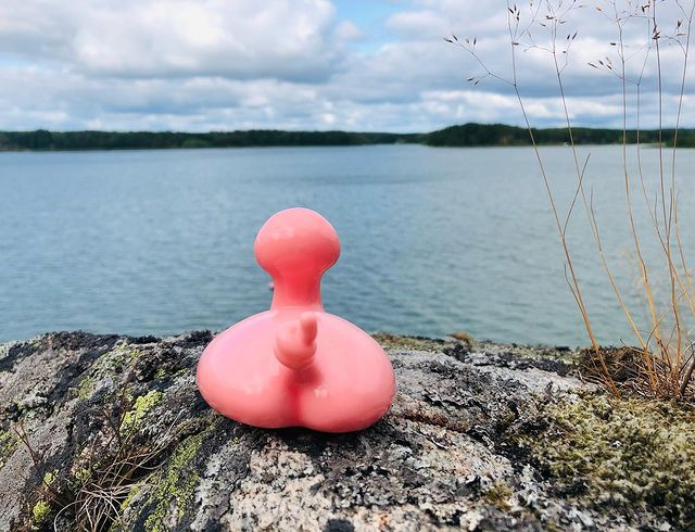 Kaczka Świnia Posankka