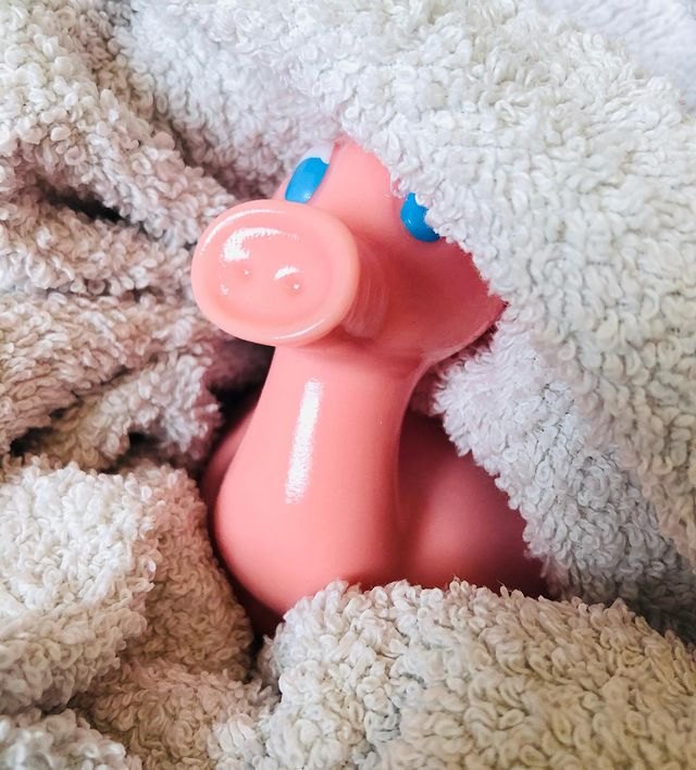 Kaczka Świnia Posankka