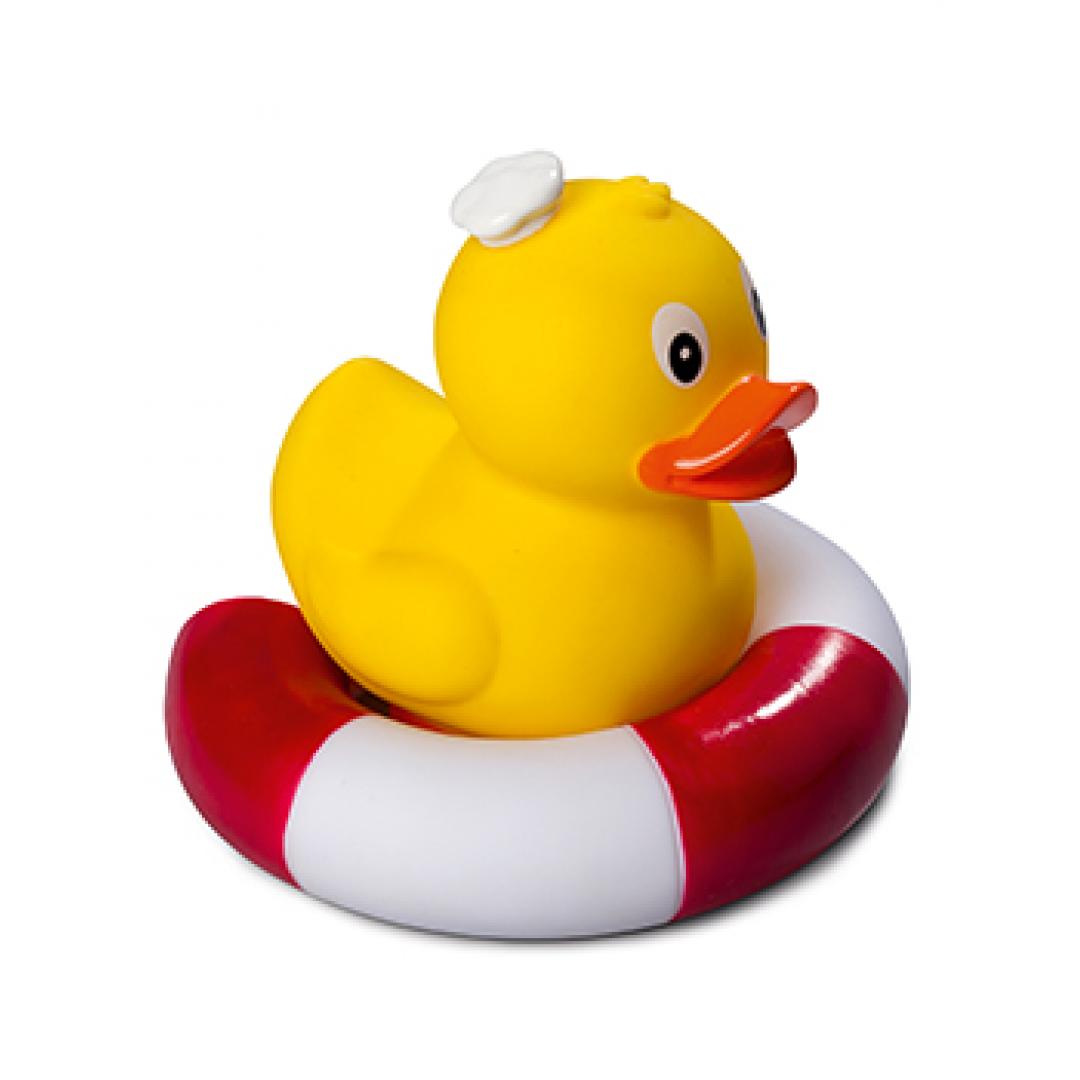 Canard Cuisinier Debout