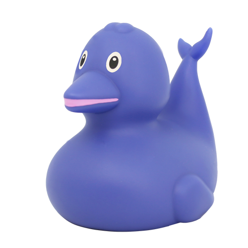 Canard Dauphin – visuel produit