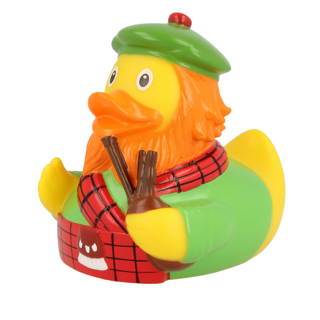 pato escocés