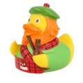 pato escocés