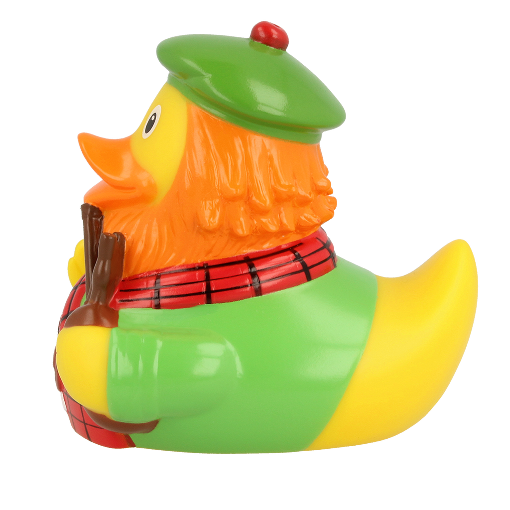 pato escocés