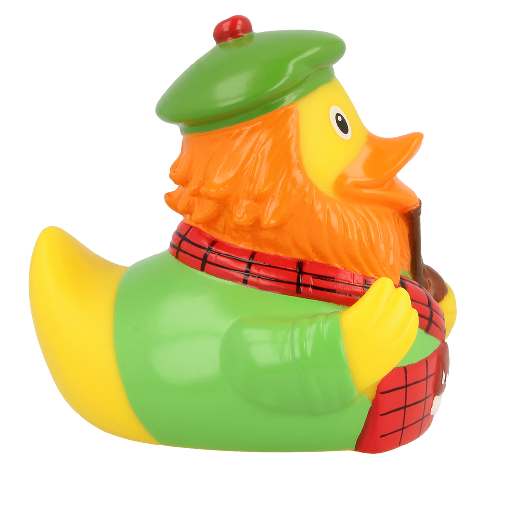 pato escocés