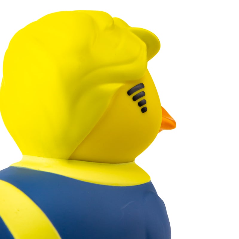 Duck Vault Boy (коробочное издание)
