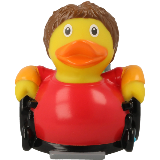 Canard Fauteuil Roulant Lilalu CoinCaillerie