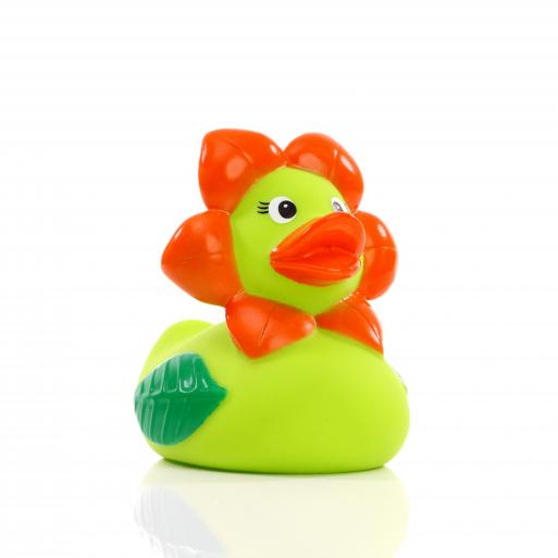 Canard Fleur Schnabels CoinCaillerie