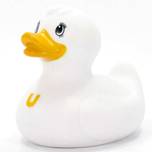 canard fluffy bud duck 