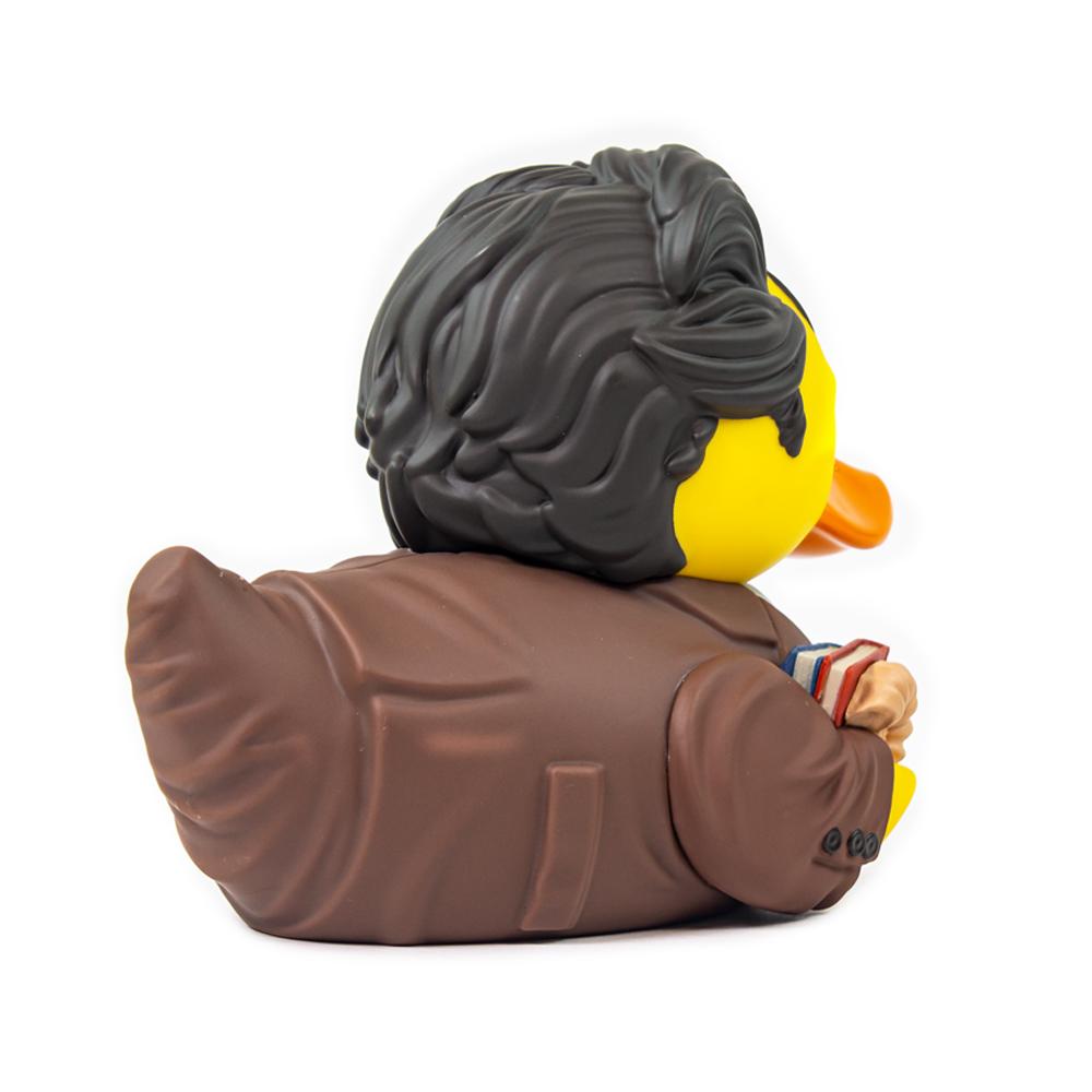 Canard Ross Geller (Boxed Edition) TUBBZ CoinCaillerie