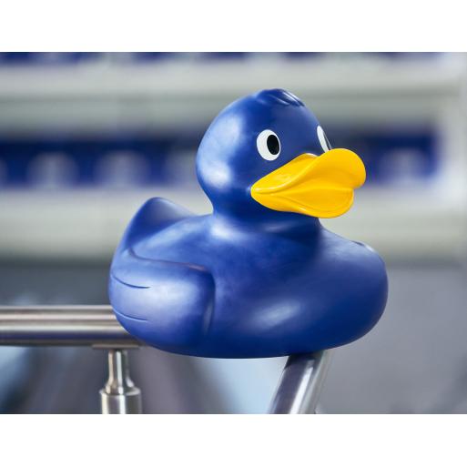 Canard Bleu de Piscine XXL