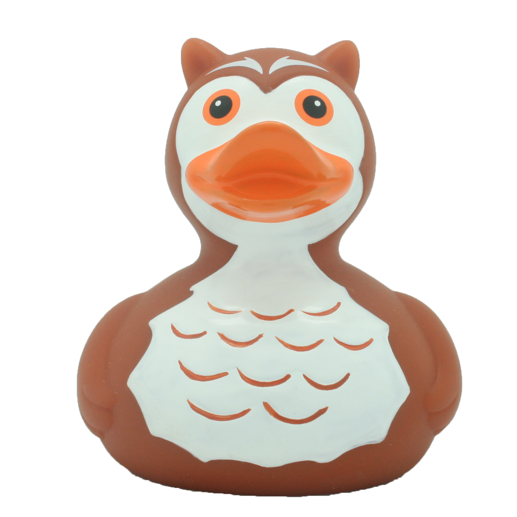 Duck Owl