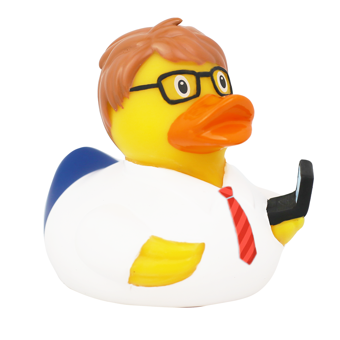 Canard Ingénieur Informaticien – visuel produit