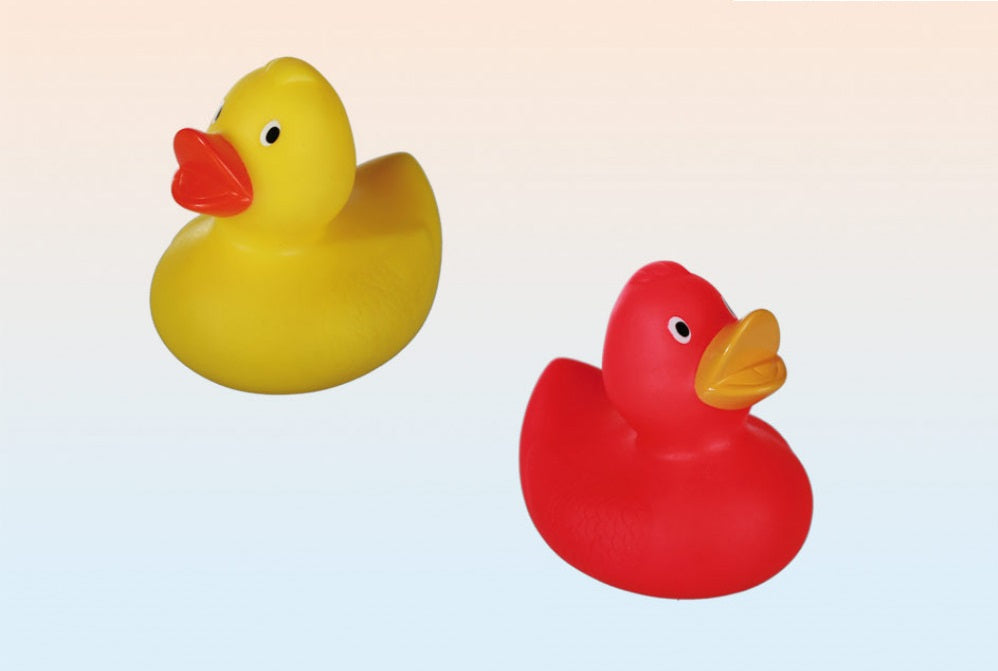 Canard Jaune ou Rose Fluo – vue 3