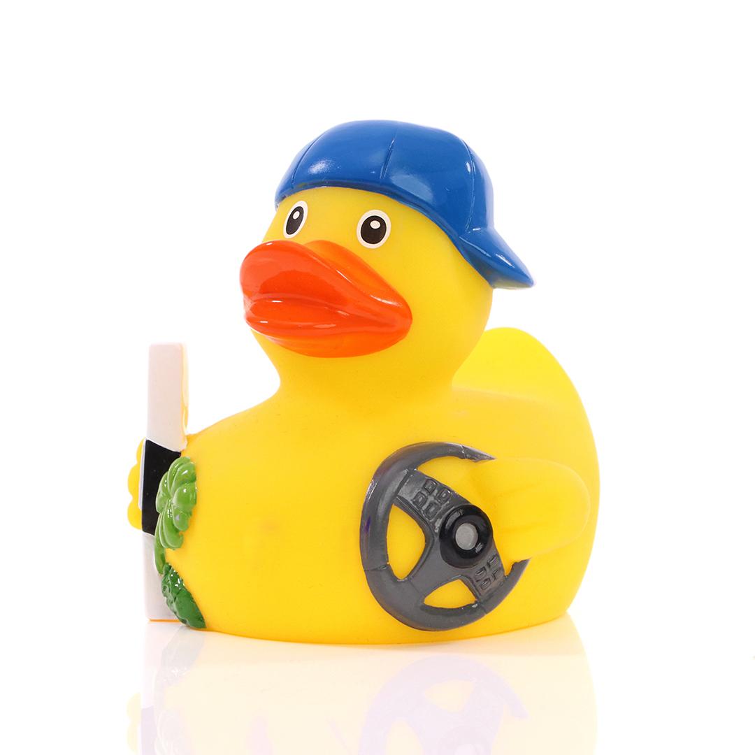 Canard Permis de Conduire Schnabels CoinCaillerie