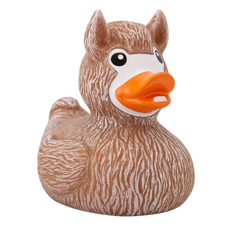 canard-lama-lilalu