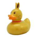 Canard Lapin Or – visuel produit