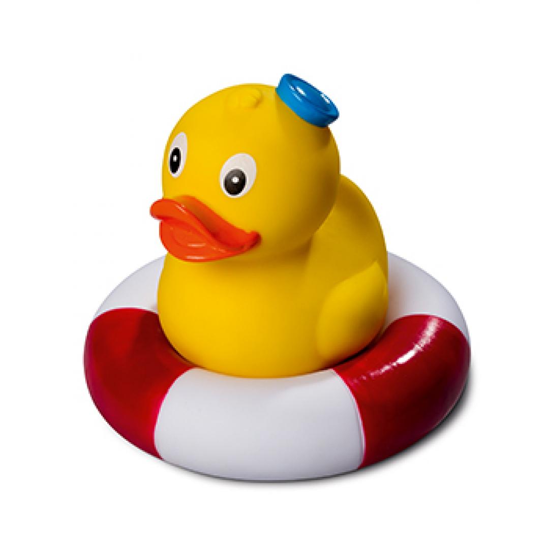 Canard Marin Debout Schnabels CoinCaillerie