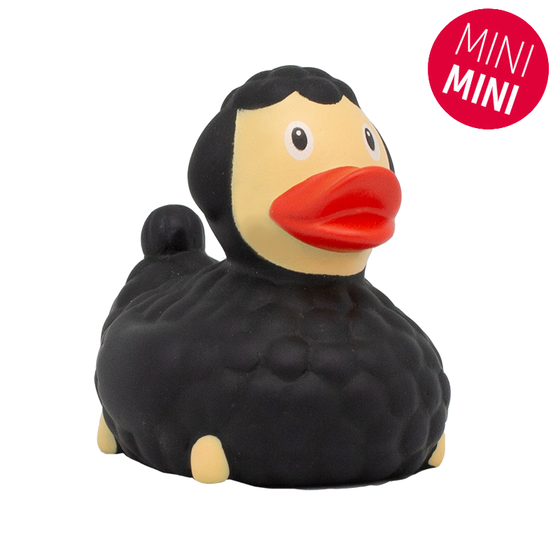 Mini Black Sheep Duck