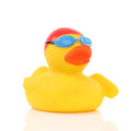 Canard Nageur