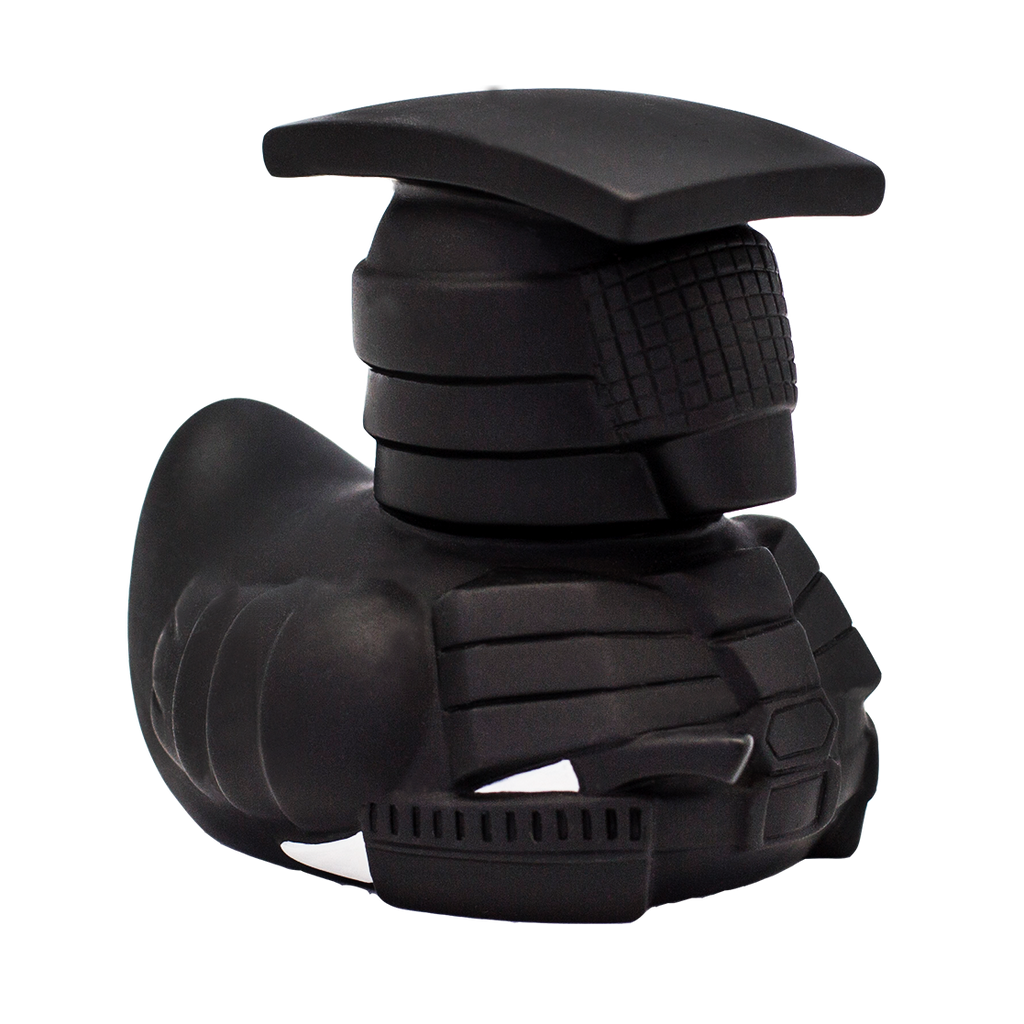 Canard Ninja Warden